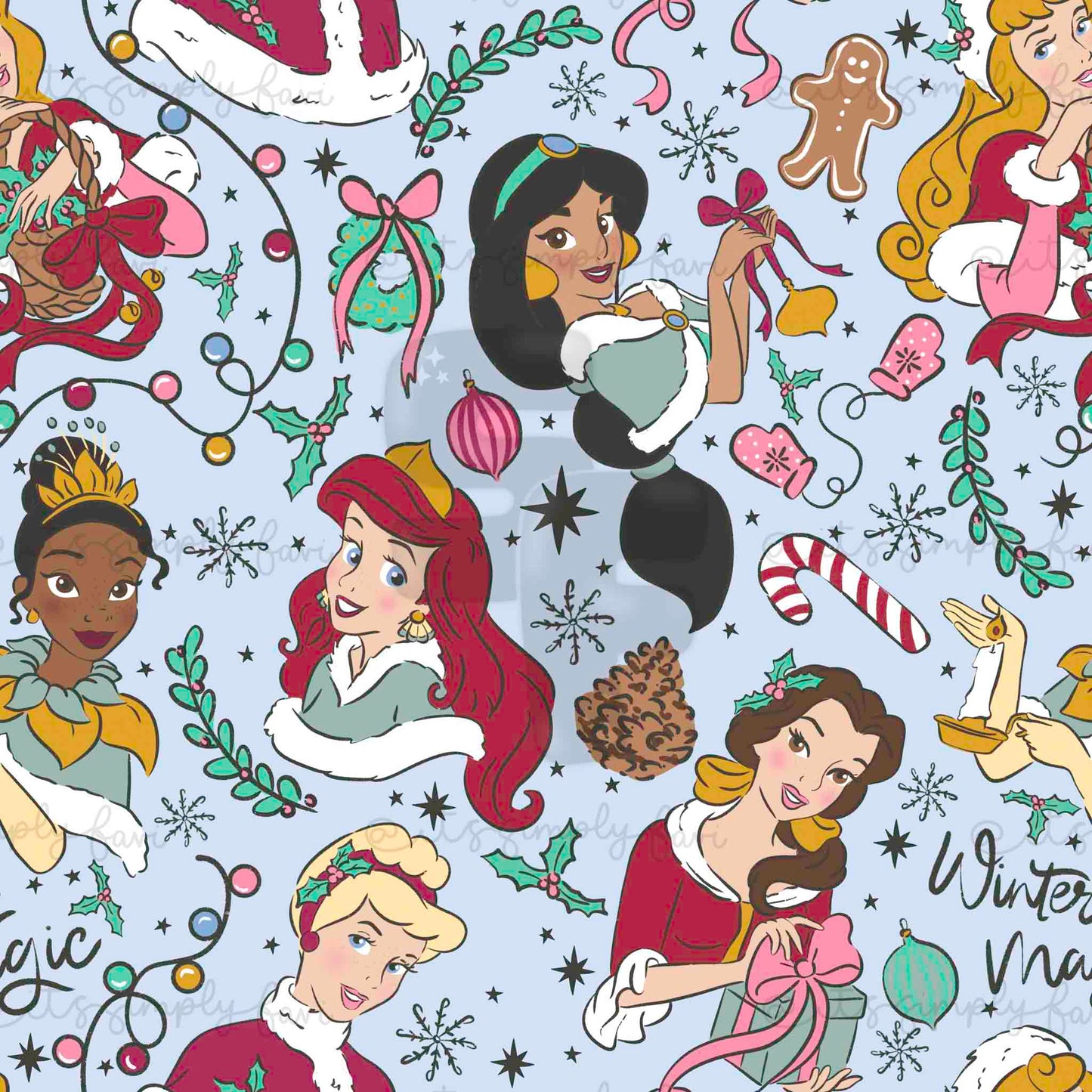 The Winter Magic Princesses