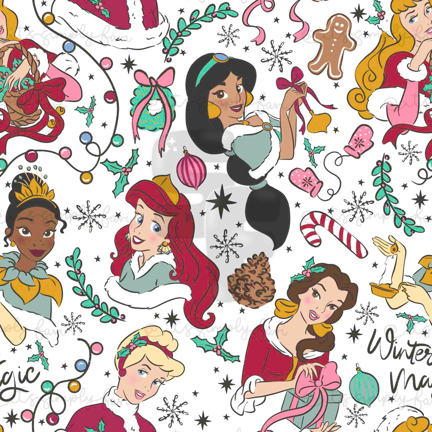 The Winter Magic Princesses